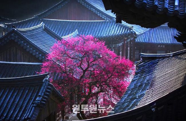 의정부시, 시민갤러리에서 제19회 (사)경기북부사진연구회 사진전 개최