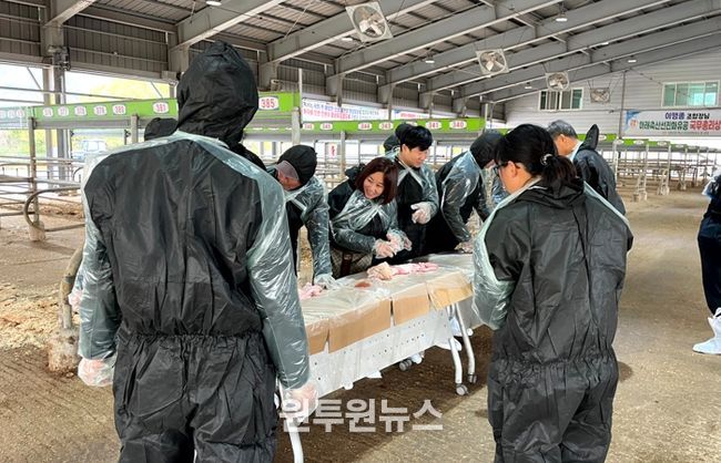 영암농업대학생, 한우 인공수정 실습 교육 받아