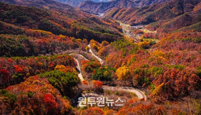 영동의 대표 관광명소 ‘도마령’