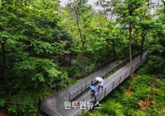 남산자락숲길 산책길