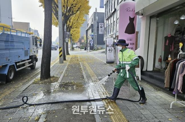 수원시 권선구, 가을철 은행나무 악취 해결에 나섰다!