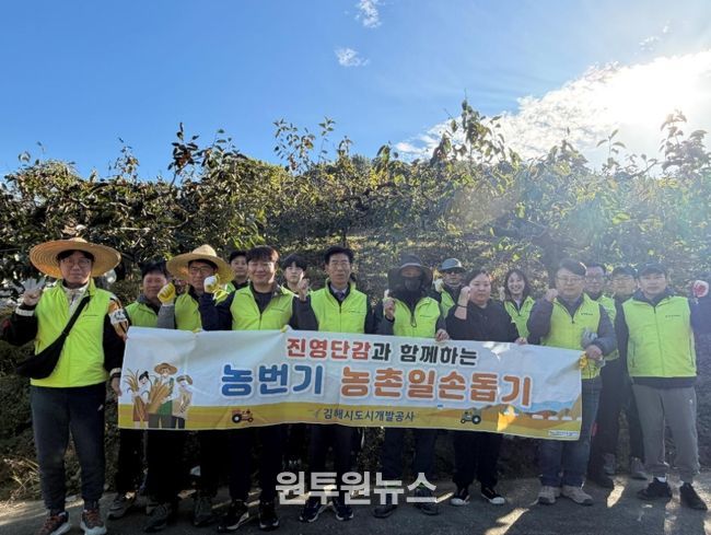 지역특산물 ‘진영단감’ 수확 지원