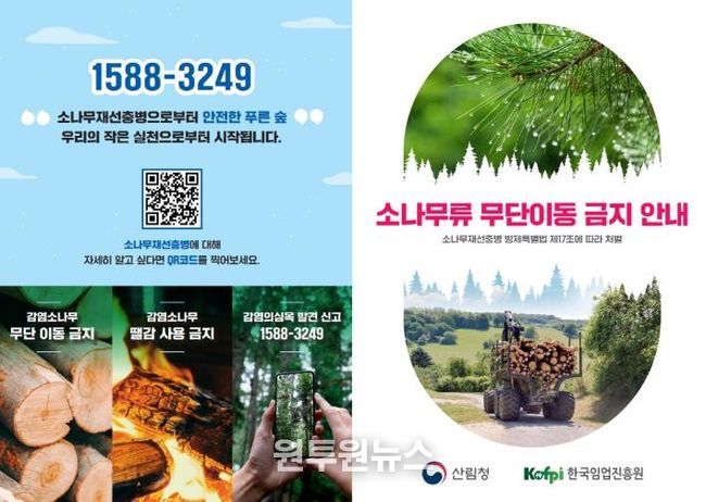 소나무류 무단이동 금지 안내 홍보물