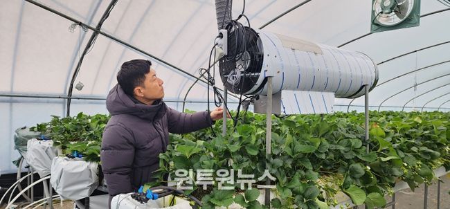 겨울철농업재해대책 본격 추진