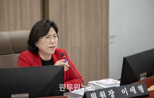 경기도의회 이애형 의원