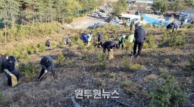 18일 안산시 백운공원에서 열린 비료시비 행사에서 참여자들이 고형복합비료 시비 활동을 진행하고 있다.