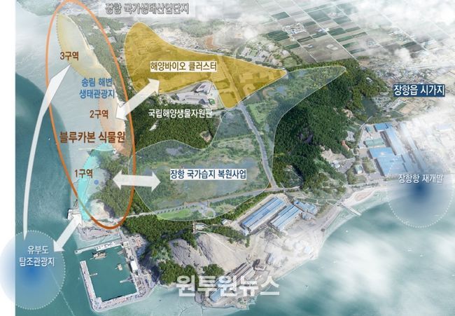 서천군, 서천갯벌 세계유산 보전·블루카본 메카 도약 박차