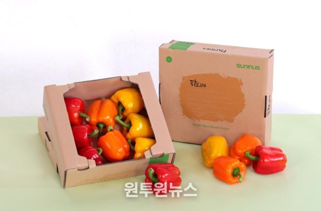 탐진들 파프리카