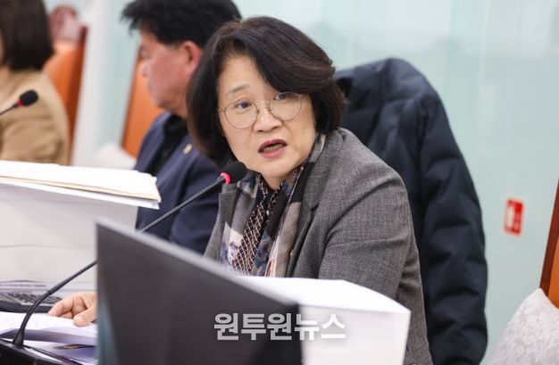 경기도의회 신미숙 의원