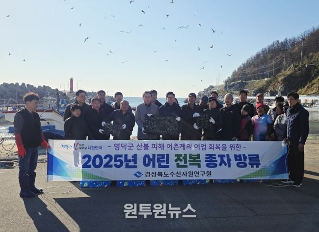 어린 전복 15만 마리 방류