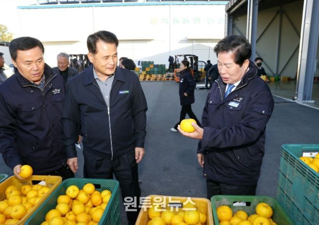 자 수매가격 예상보다 높은 수준에서 거래