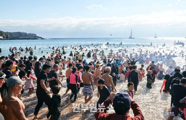 국제펭귄수영대회