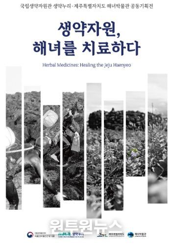<생약자원, 해녀를 치료하다> 전시 개막식