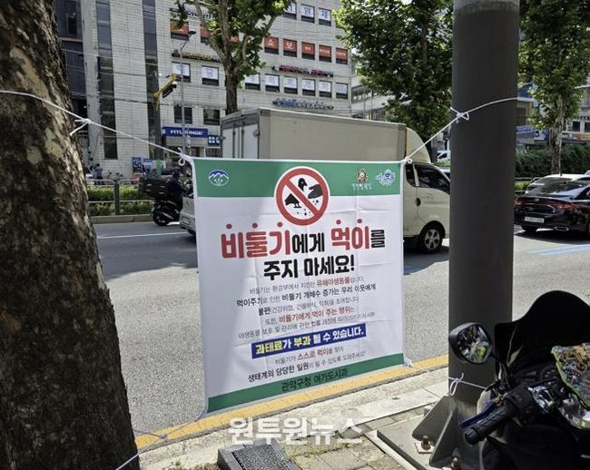 신림역 일대 남부순환로에 게첨된 비둘기 먹이주기 금지 안내문