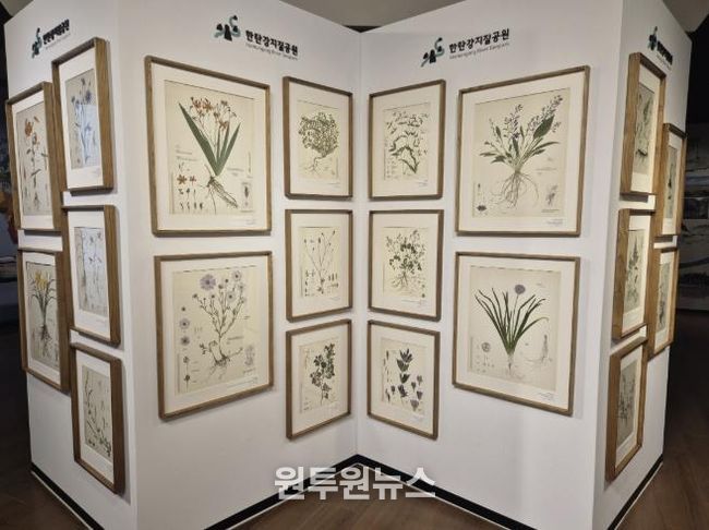 포천시, 한탄강의 아름다운 색채를 담은 압화 전시 개최