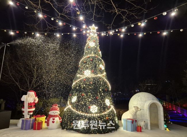 겨울 낭만 가득한 ‘눈 내리는 빛의 숲’