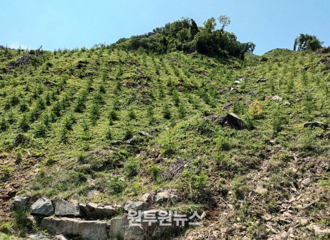 거창군, 2025년 경남도 산림자원분야 ‘최우수’기관 선정