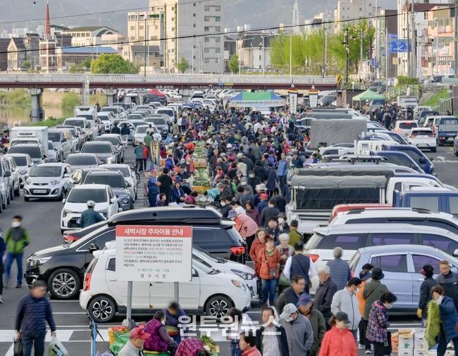 농업인 새벽시장 사진