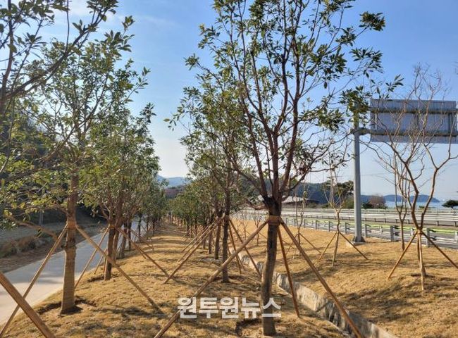 남해군, '도시숲 및 녹지공간 조성' 우수기관 선정 = 기후대응 도시숲