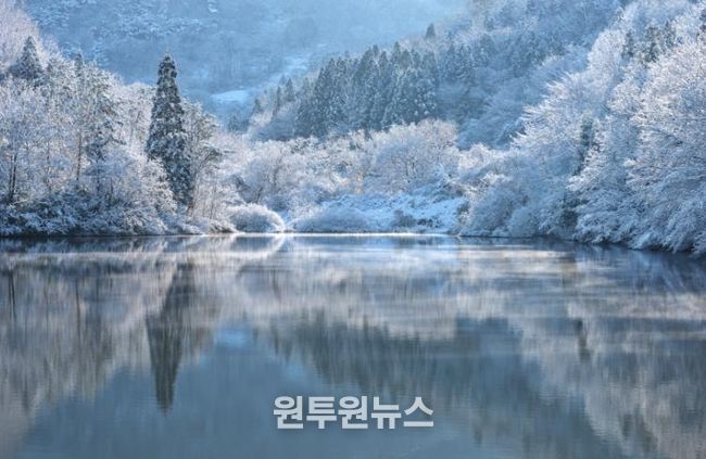 화순 세량제의 겨울아침(정인희 작품).