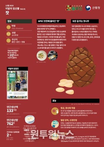 2025 이달의 임산물-12월 `잣`