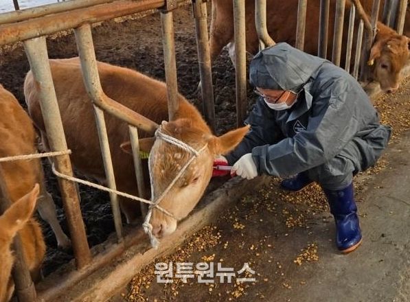 정읍시 2026년도 공수의 공개 모집