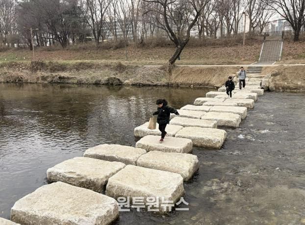 성남시 분당구 구미동 성남물빛공원~무지개마을 잇는 탄천 징검다리