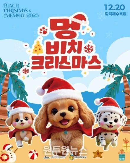 반려견과 함께하는 비치크리스마스