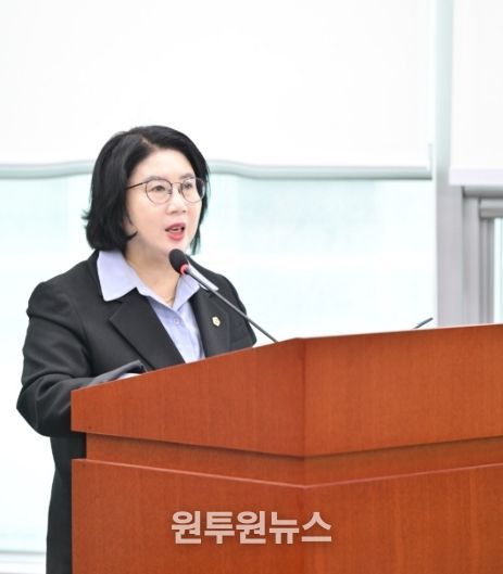 경기도의회 이서영 의원