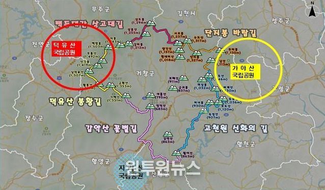 거창군, 산림으로 여는 미래, 관광‧기후‧경제 세 마리 토끼 잡는다