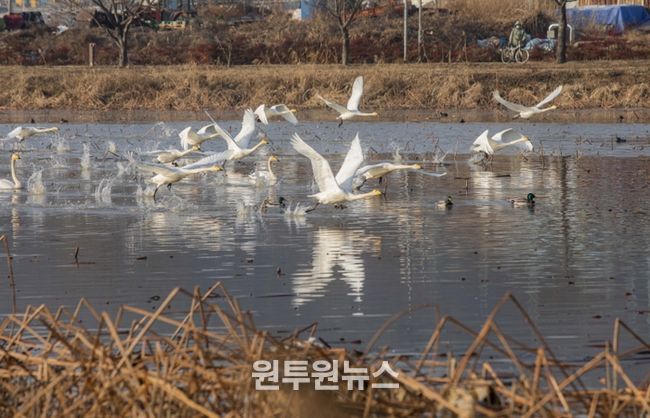 국비 4억5천만 원 확보한 구미시, 지산샛강 생태복원 본격화