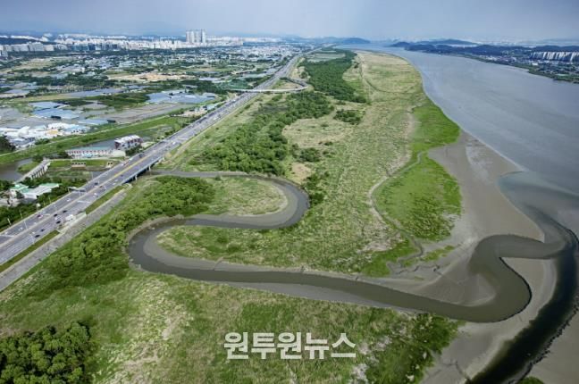 람사르 고양장항습지 전경