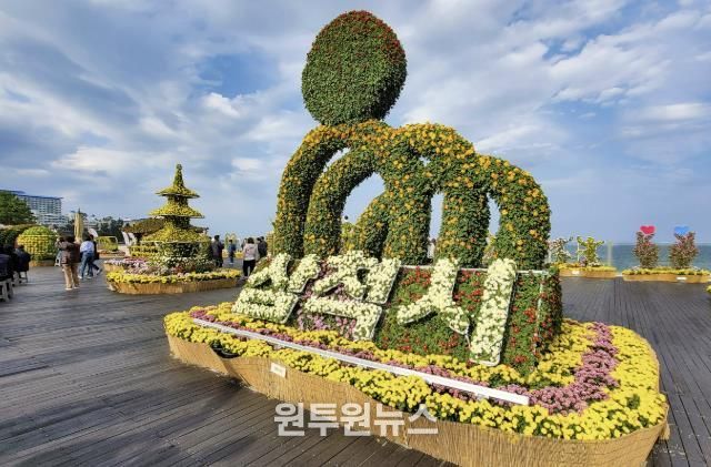 제10회 삼척 국화전시회