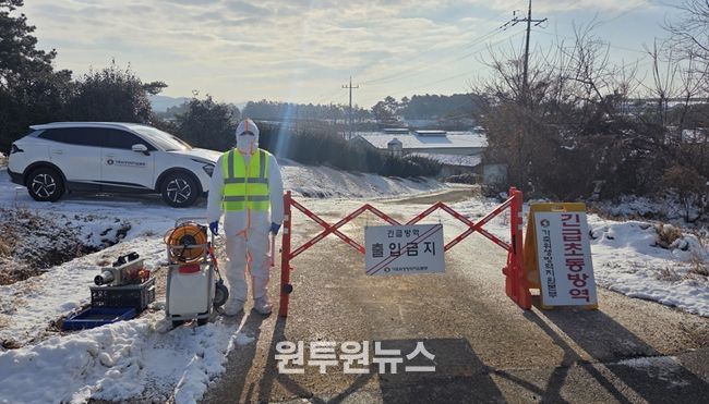 방역 현장 사진