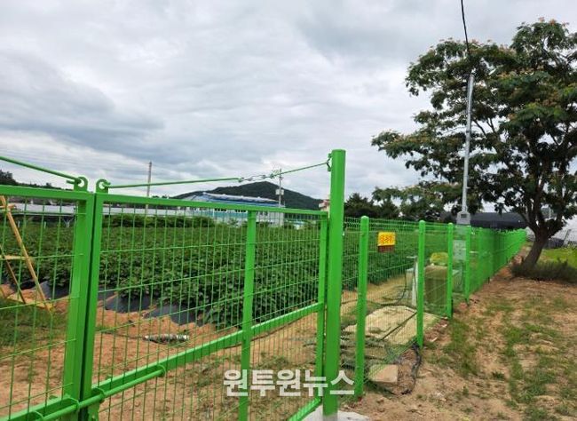 양산시, 멧돼지 등 야생동물 피해 사전 예방