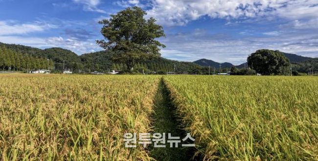 순창군 태이친환경영농조합법인, 제주도 학교급식 친환경 쌀 공급업체 선정
