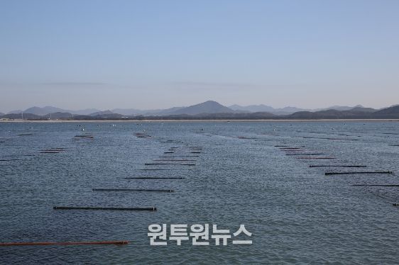‘충남 김’ 수출액 역대 최고