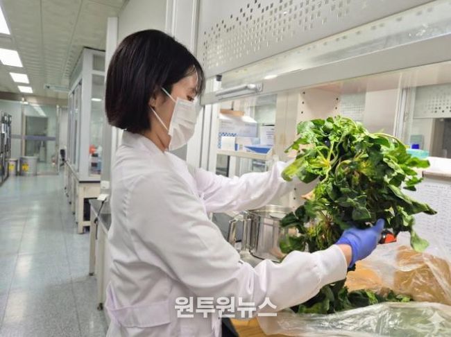 보건환경연구원 검사