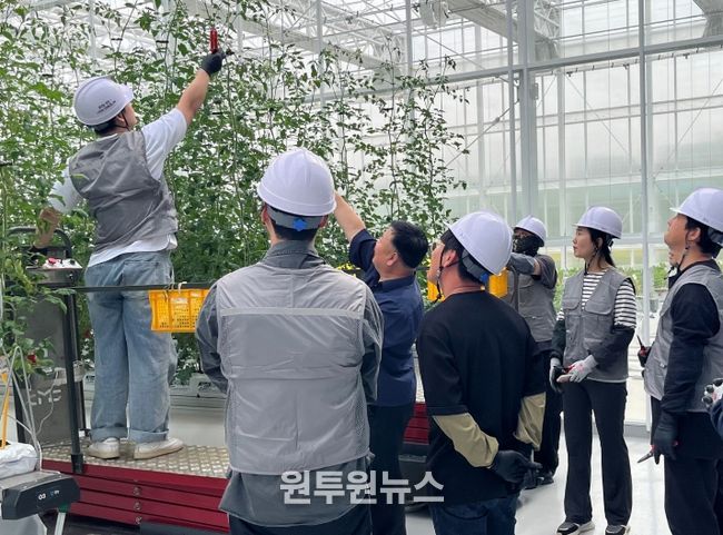 청년 스마트팜 전문 인력 양성 교육생 모집