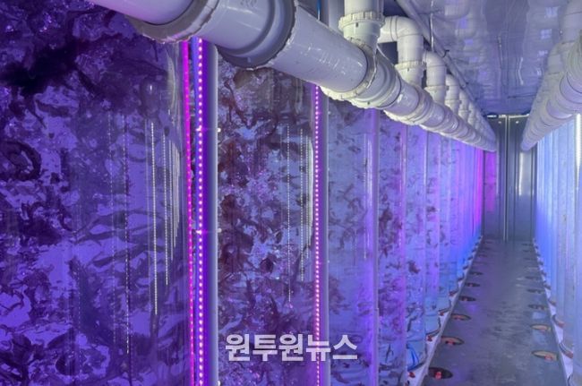 사업 우수기업_브이에스신비