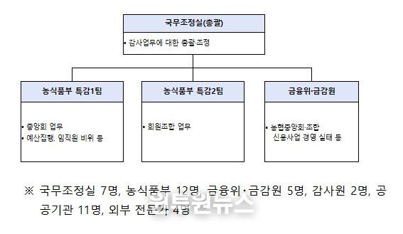 정부합동 특별감사반 구성 및 인원