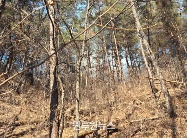 봉화군 재산면 산불 진화율 80%, 일몰 전 완진 총력