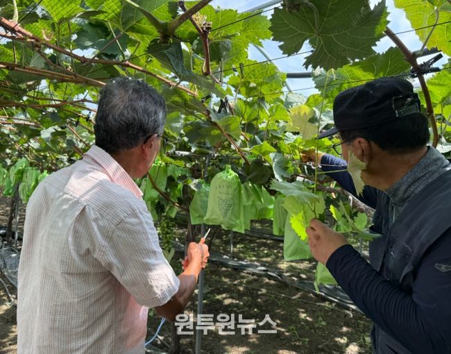 2025년 신규농업인 현장실습 교육