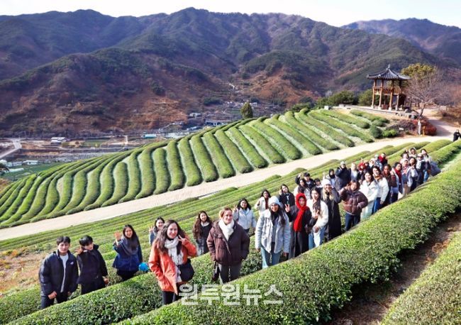 섬진강 스테이 특화 상품(외국인 유학생 팸투어-하동 녹차밭)