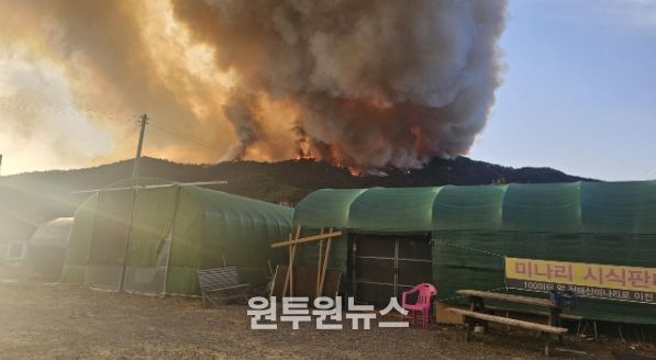 밀양시 삼랑진읍 야산 산불