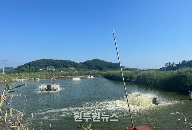 영광군, 수산양식생물 입식‧출하‧판매 신고 이행 당부