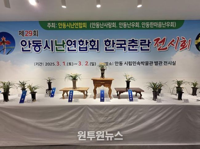 제30회 안동시난연합회 한국춘란 전시회 개최