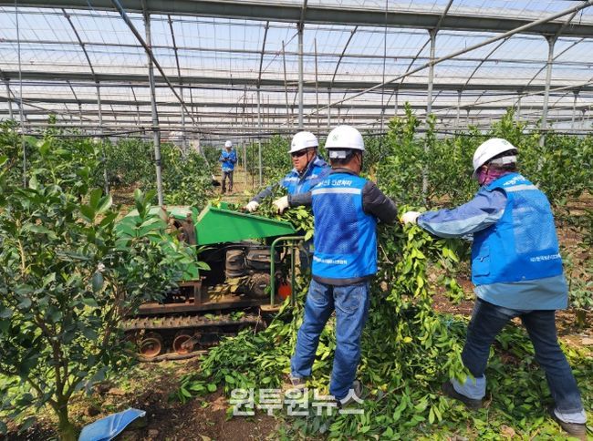 영농부산물 안전처리 파쇄단 활동(2025년)