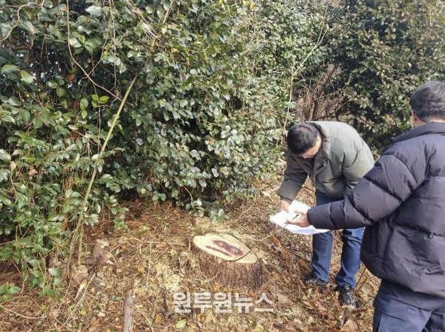 영암군, 소나무재선충병 210ha 집중방제 나선다