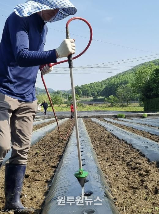 보은군, 2026년 자활근로사업 참여자 상시 모집